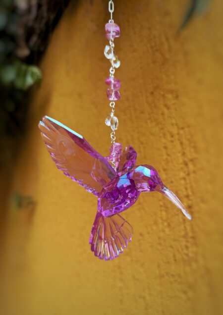 Colibrí Violeta Tornasol